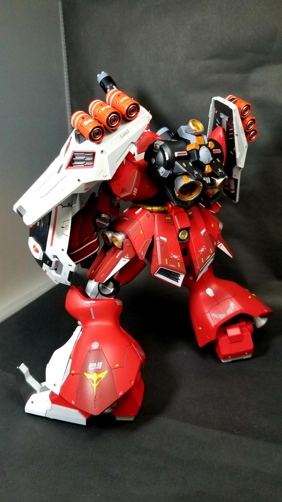 バックショット‼️