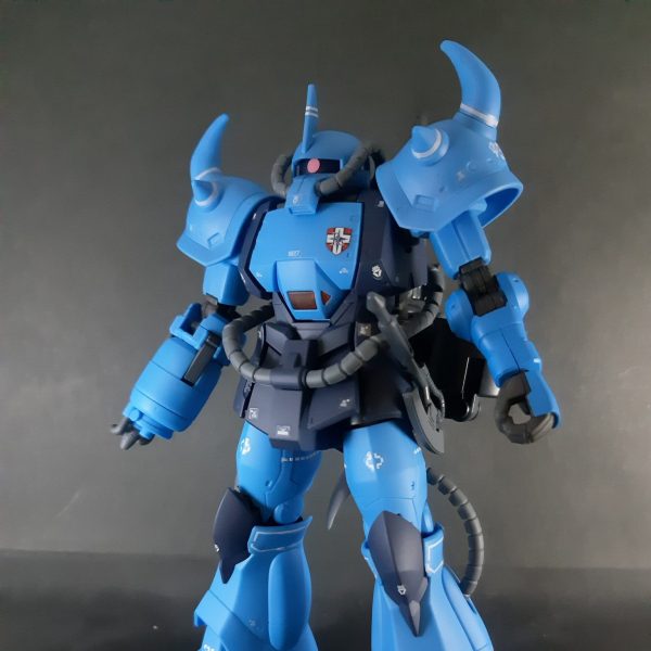 プロトタイプグフ戦術実証機(小改造)