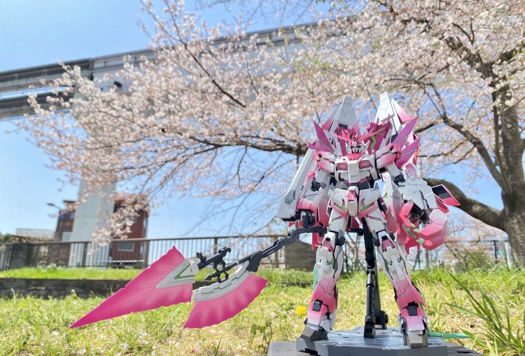 完成した次の年ですが、桜の下で写真撮りました。これがやりたかったんです。