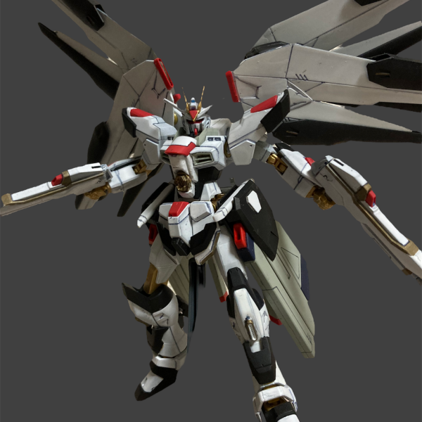 ストライクフリーダムアーリータイプ