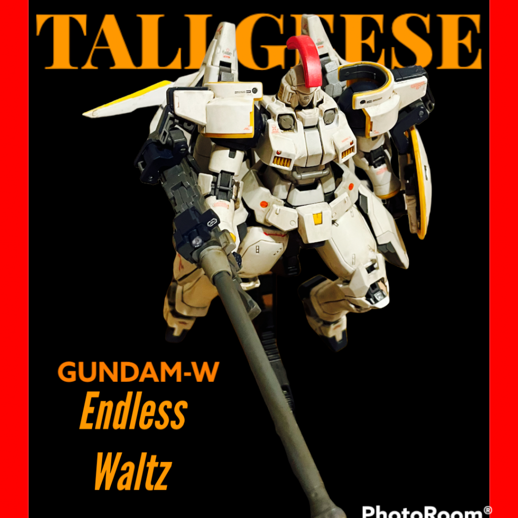 MGトールギス〜箱絵を目指して〜｜Kojiさんのガンプラ作品