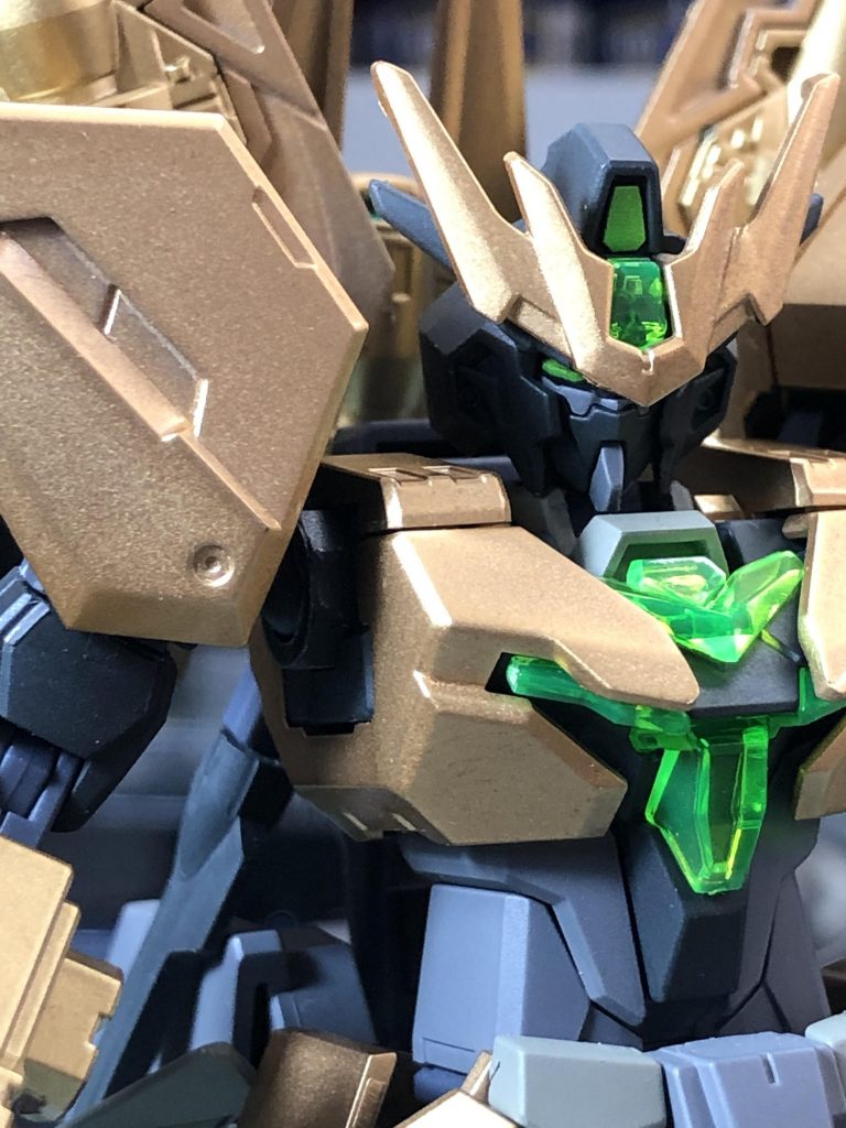 頭部・胸部のアップ