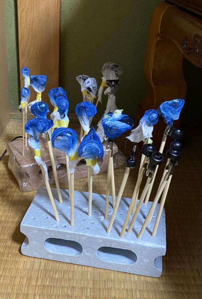 HGUC ズゴック　–2枚目/制作者：かな汰