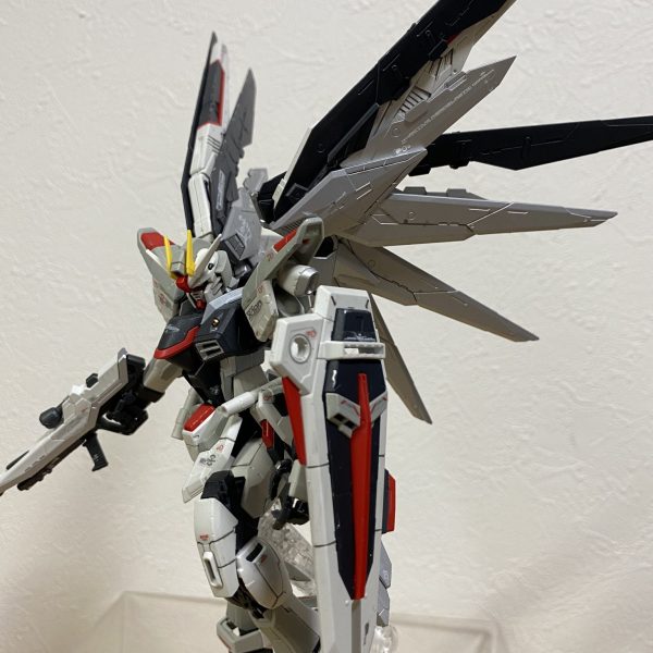 自由への白銀の翼