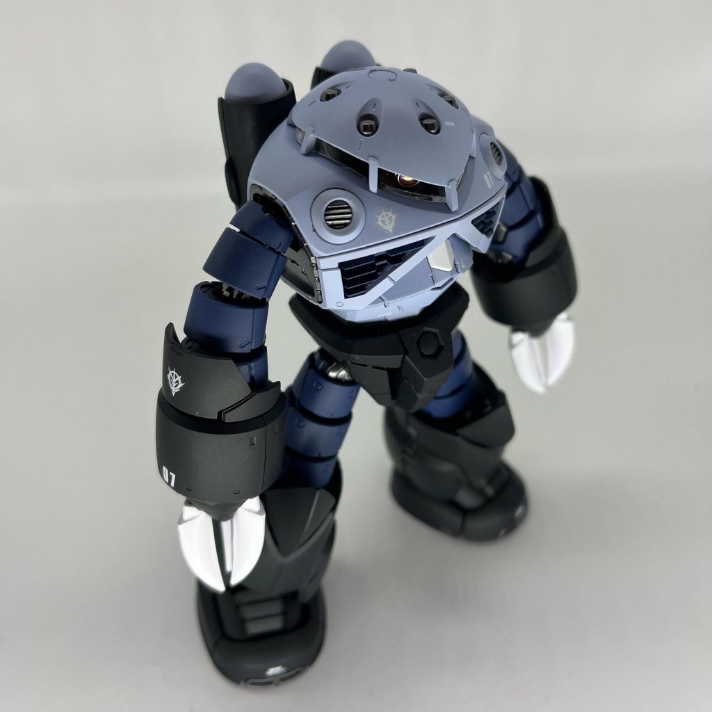 RG  量産型ズゴック–4枚目/制作者：tattsuokun