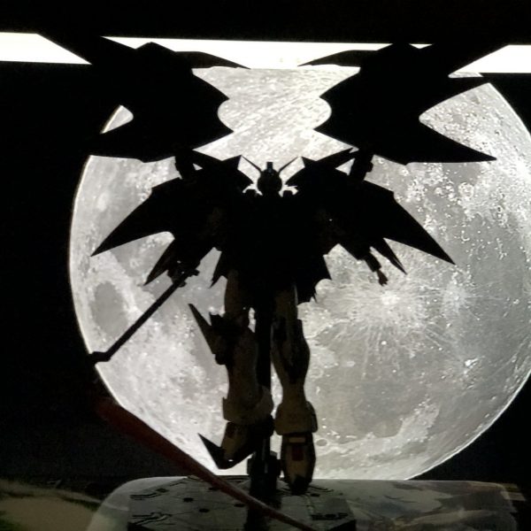 お久しぶりです