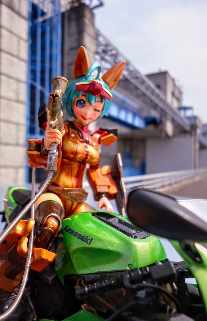 処々?パーツに傷がついているのは撮影中に風でふっ飛ばされてしまっての損傷ですのでご了承下さい。最後まで閲覧頂きましてありがとうございました。