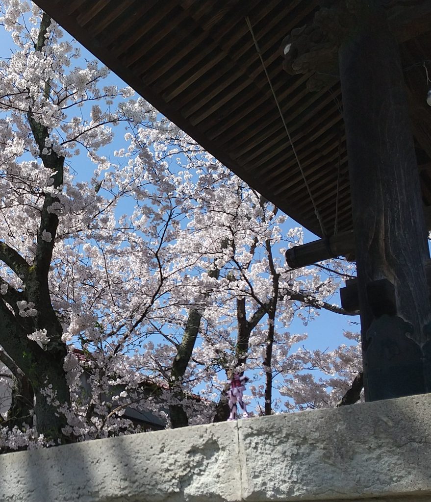 ストライクルージュを探せ！（普通に分かりますねww）