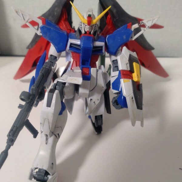 砂漠戦闘歴数年のデスティニーガンダム