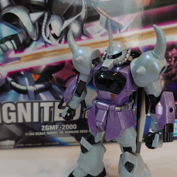 HG SEED DESTINY アビスガンダム ガナーザク グフイグナイテッド 