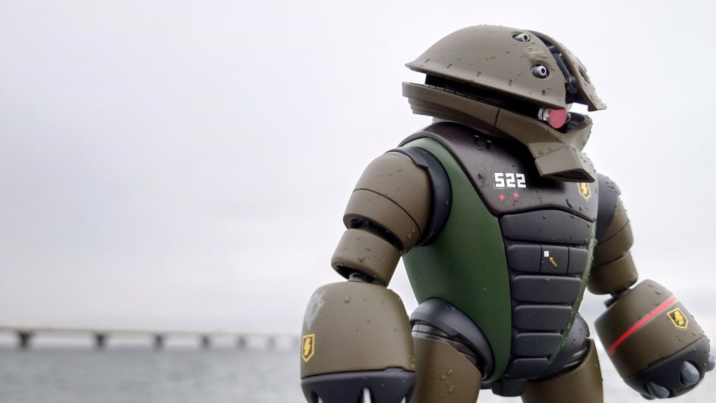 アッガイは海が似合いますね～♪(≧▽≦)