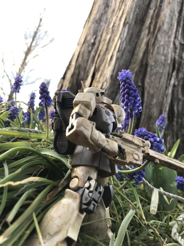 花を見つめるザクI②