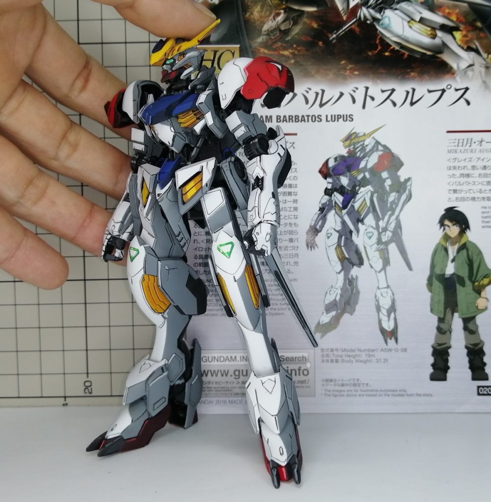 定番、手入れカット。