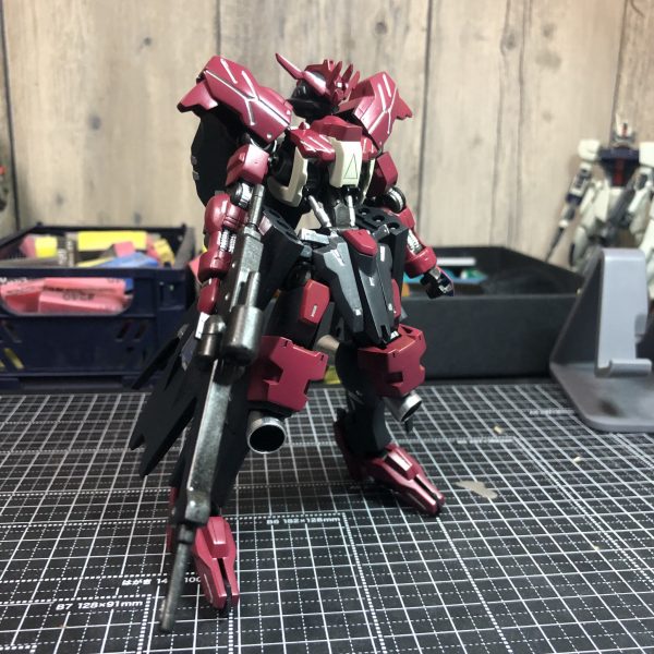 ジムの日ですがお構いなし！