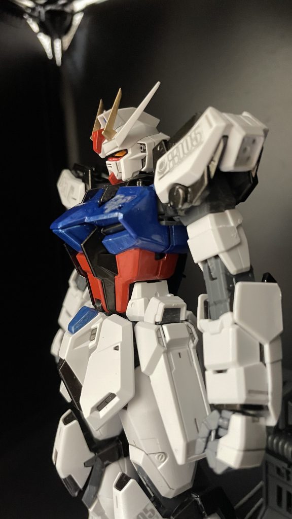 顔の塗装はイーゲルシュテルンも合わせて細かく塗装しました。