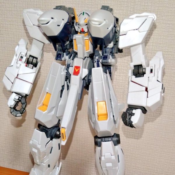 ビルドサイコガンダム[TR-6]