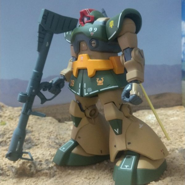 ドム  オリジナルカラー仕上げ