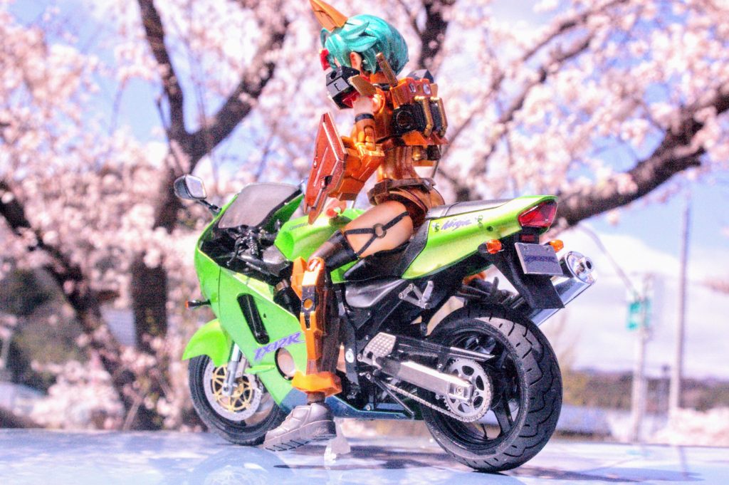 バックショット!満開の桜にはカワサキのニンジャが似合う?