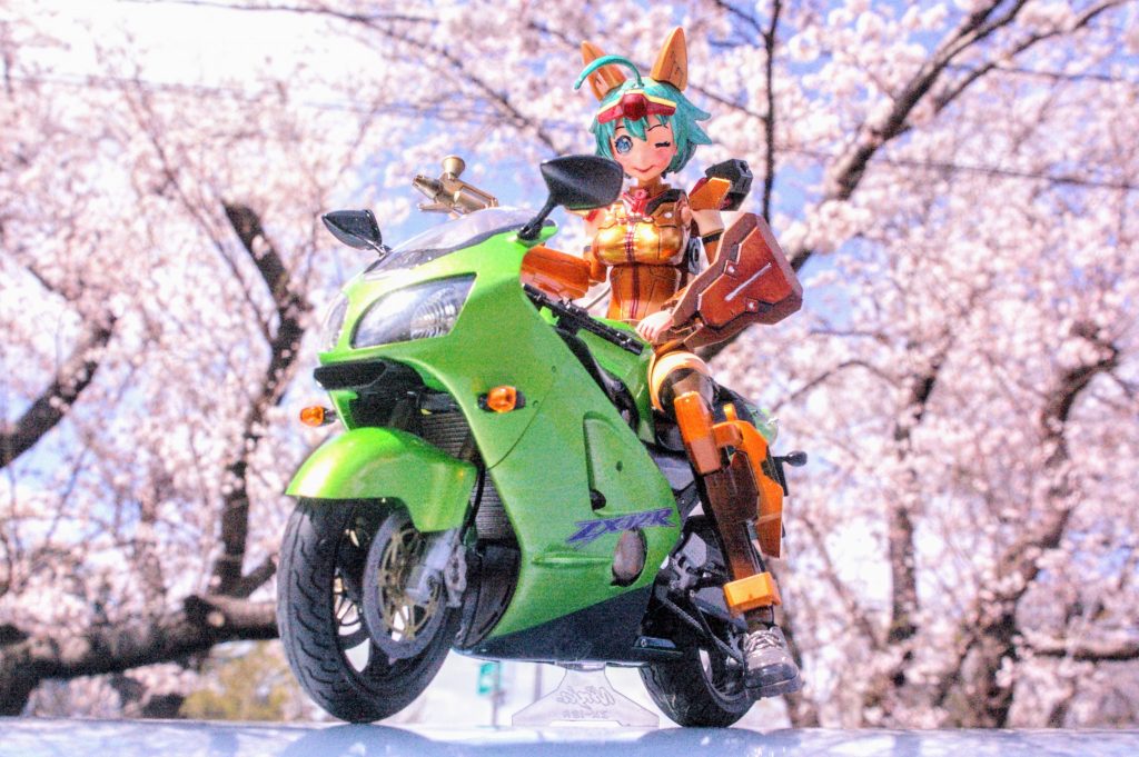 こちらはデジタル一眼レフが電池切れのため、携帯のカメラで撮影しています。意外と?桜の色合いはこっちの方が肉眼でみた感じに近いです(汗)