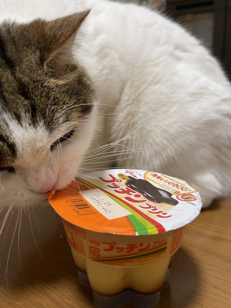 　ご覧いただきありがとうございました。次回アップできるのはいつになることやら。