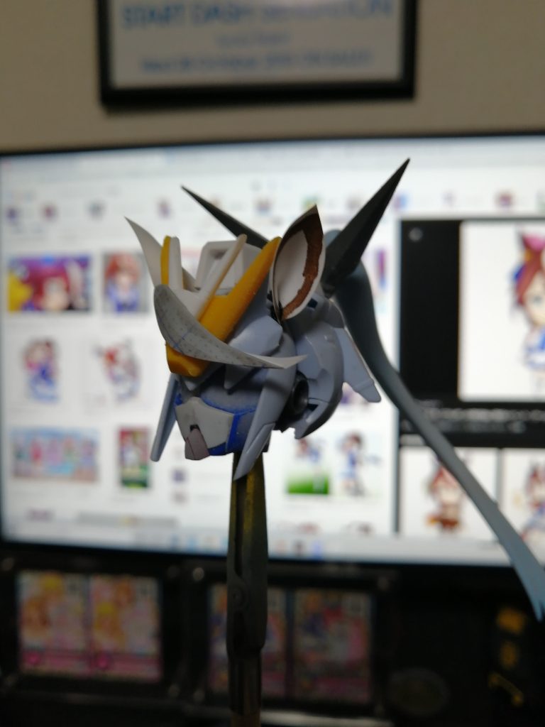 サラヘッドにヴァルキフェイスを埋め込んでます。