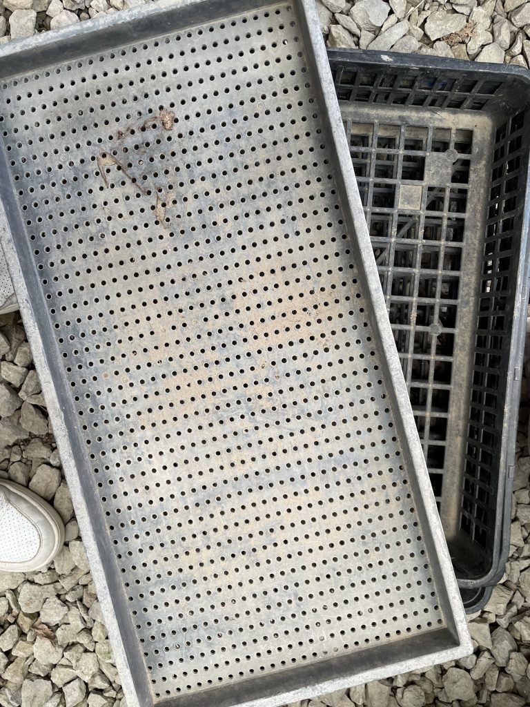 1枚目、2枚目の背景は野菜や花の苗が置かれているこれを重ねて使いました。意外とありかも？