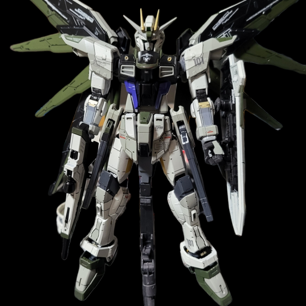 フリーダムガンダムver.GCP