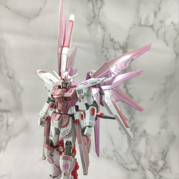 HGCE 新生自由鋼彈 粉紅配色