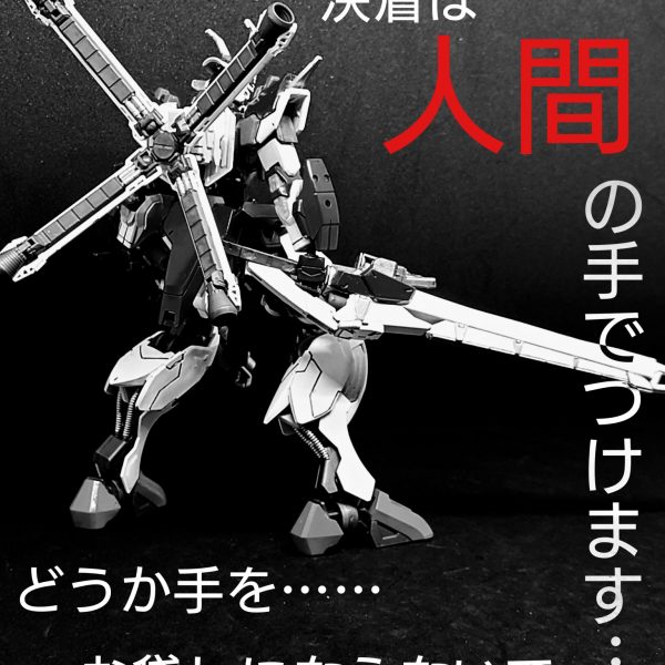 クロスボーンガンダムX72-03