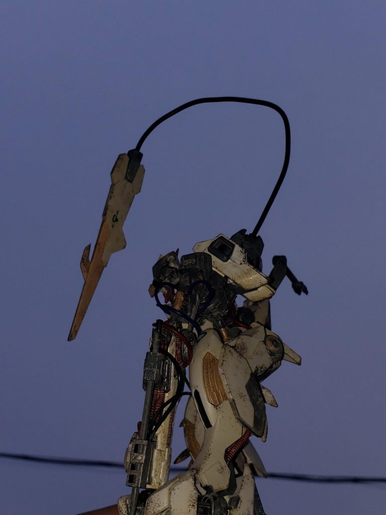 わかっているとは思いますが、サムネの写真は加工です。こんな感じで写真を撮って、IbisPaintで眼光と、よく分からないマークの発光を追加しました。