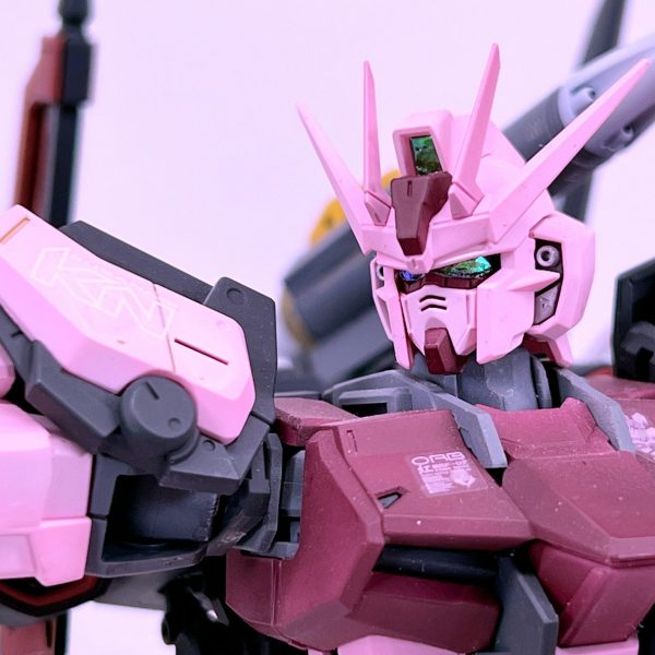 ストライクルージュ　オオトリ装備