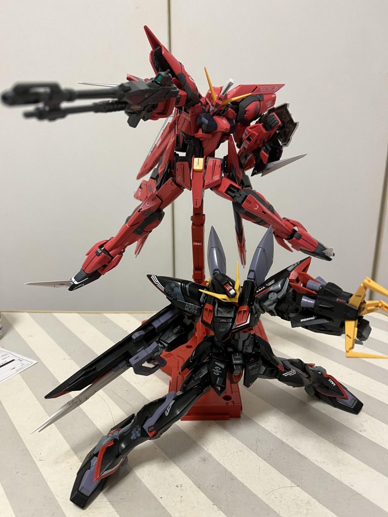 ニコルと一緒に！