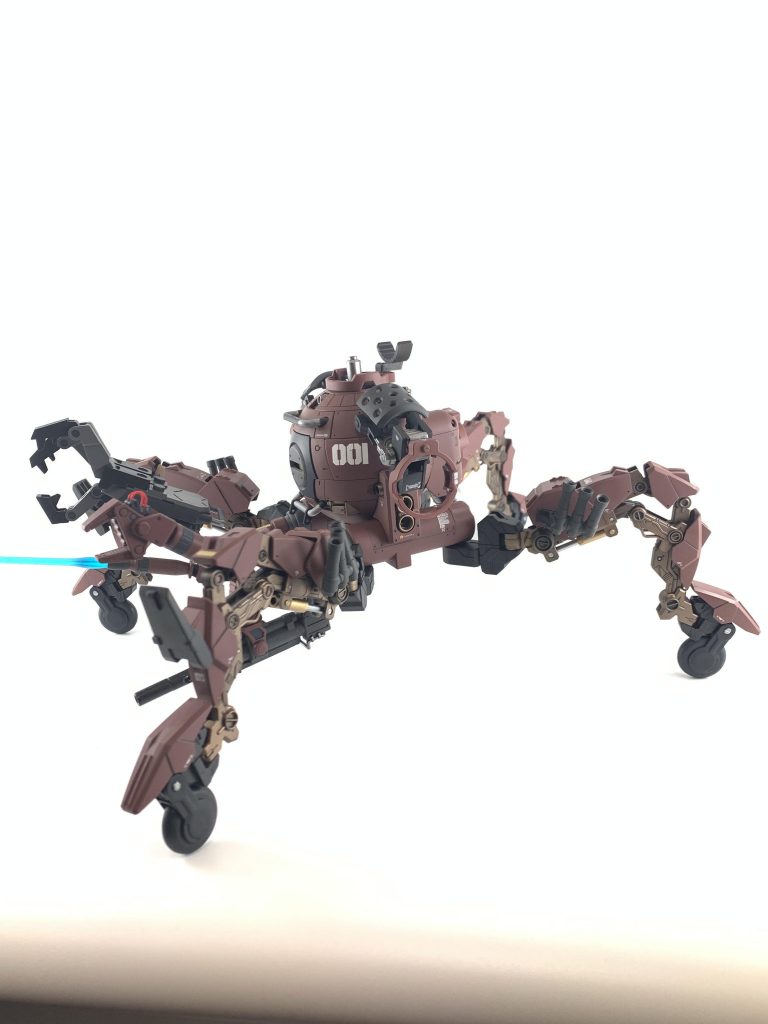 アシダカ横から〜