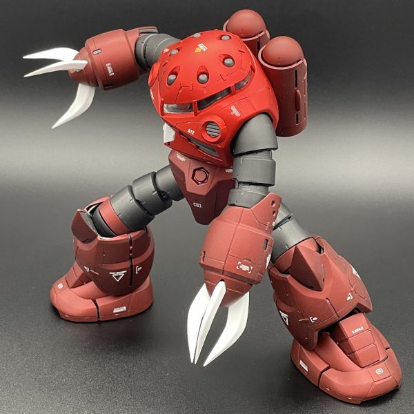 MG シャア専用ズゴック ver.CHAR