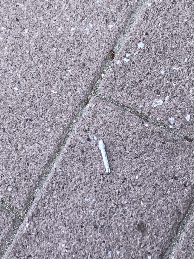 【落し物情報】どなたかベンチの所にビームサーベル落としてしまわれた同志はいらっしゃいませんか?w