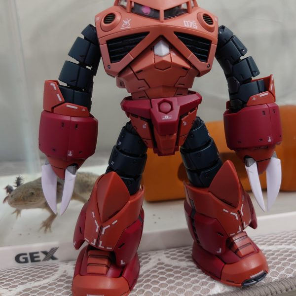 見えるぞ私にも見える