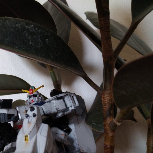 plants+gumpla_03