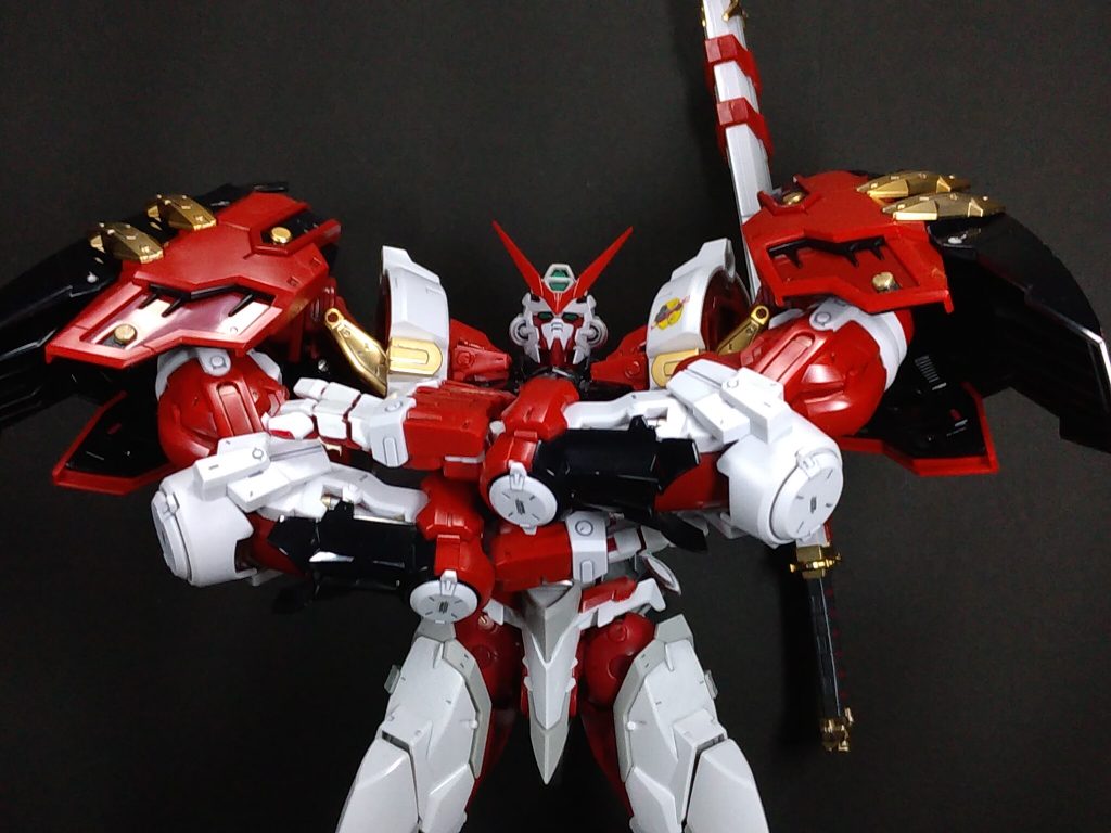 レッドフレーム カモ~~ン