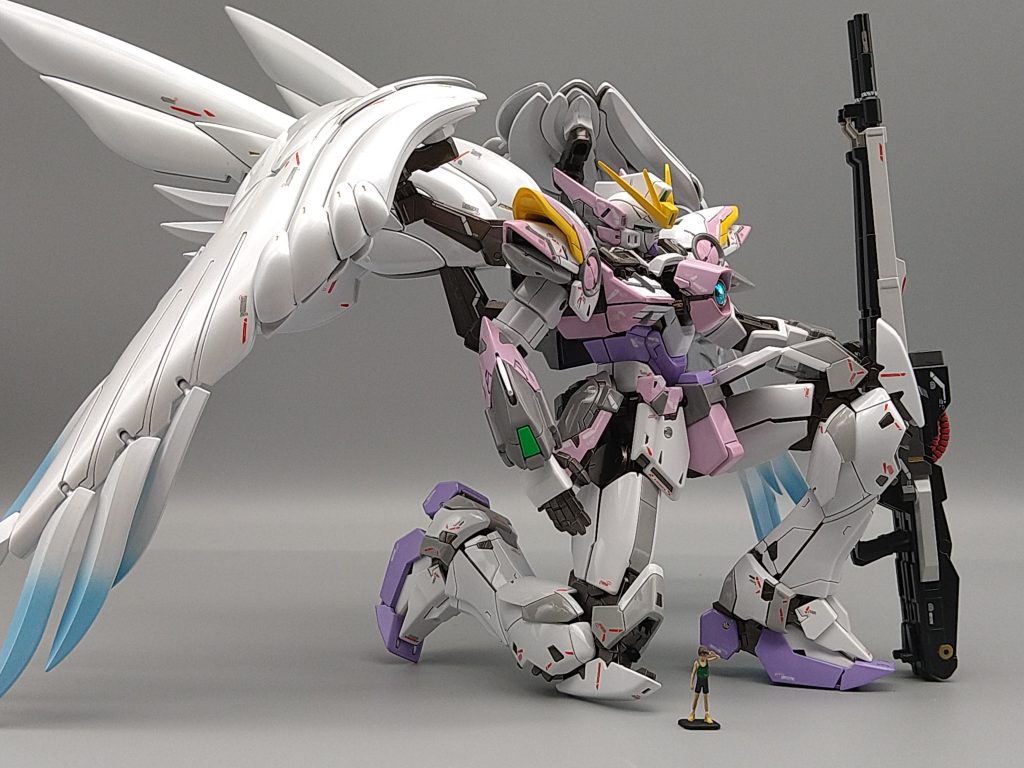 お決まりのポーズ❗〜ヒイロを添えて〜