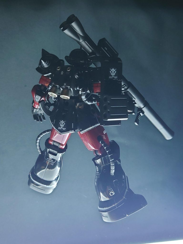 ほとんど撮ってなかったバックショット。