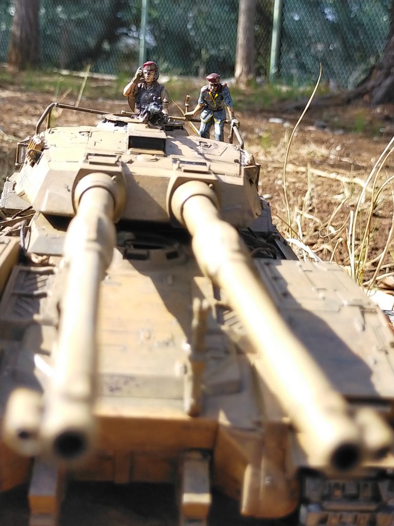 かなりの大きさになってしまい屋外で撮影