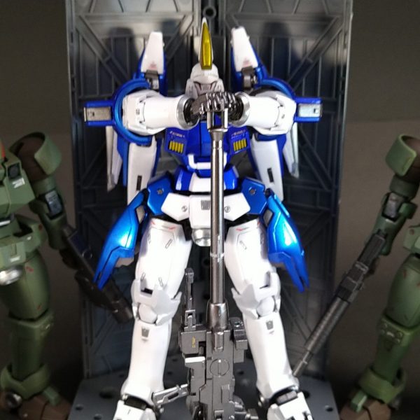 【メタリック塗装】RGトールギスⅡ【エレガント】