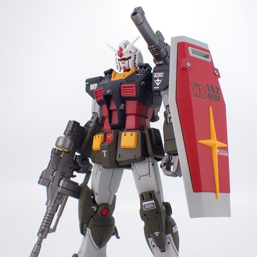 白背景で撮影。