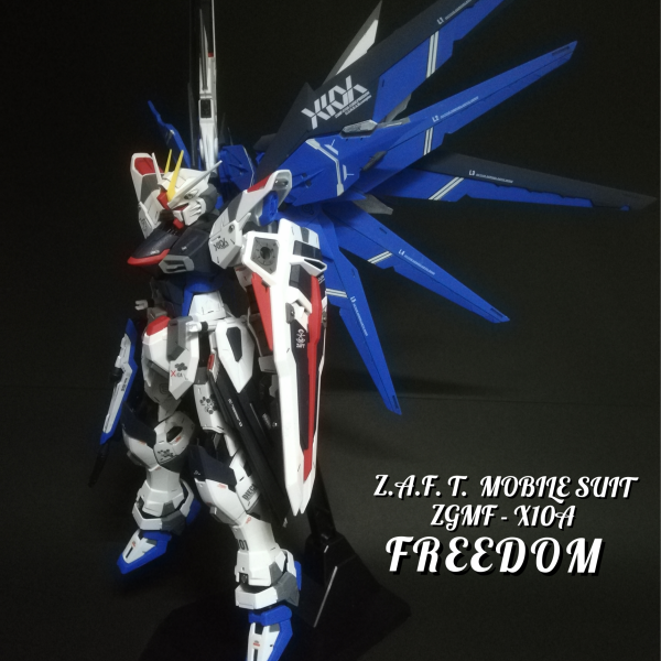 MG フリーダムガンダム Ver.2.0