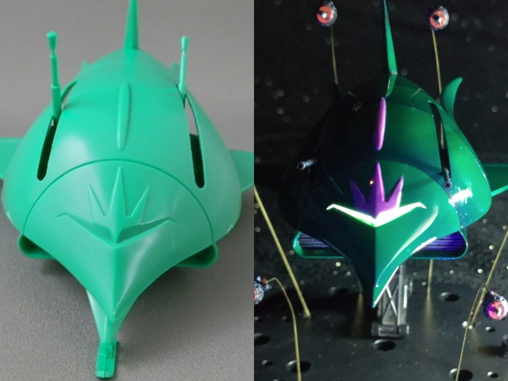 わずかにツノ(？)が見えます