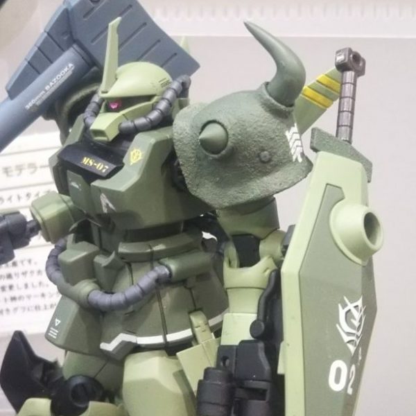 グフフライトタイプ