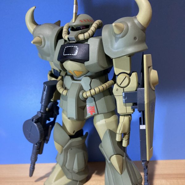 HGUC グフ　(エコプラ)