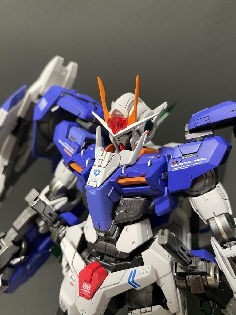 胸部にフィンなんかを ご覧いただきましてありがとうございました