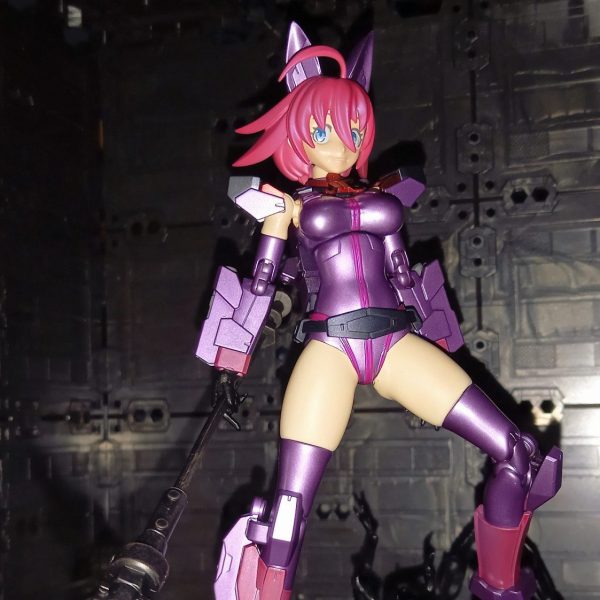 ダイバーナミスーパードメスティックバイオレンスカスタム