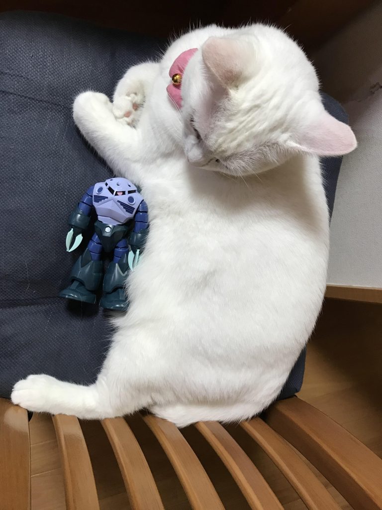 猫と戯れるズゴッグさん添い寝です